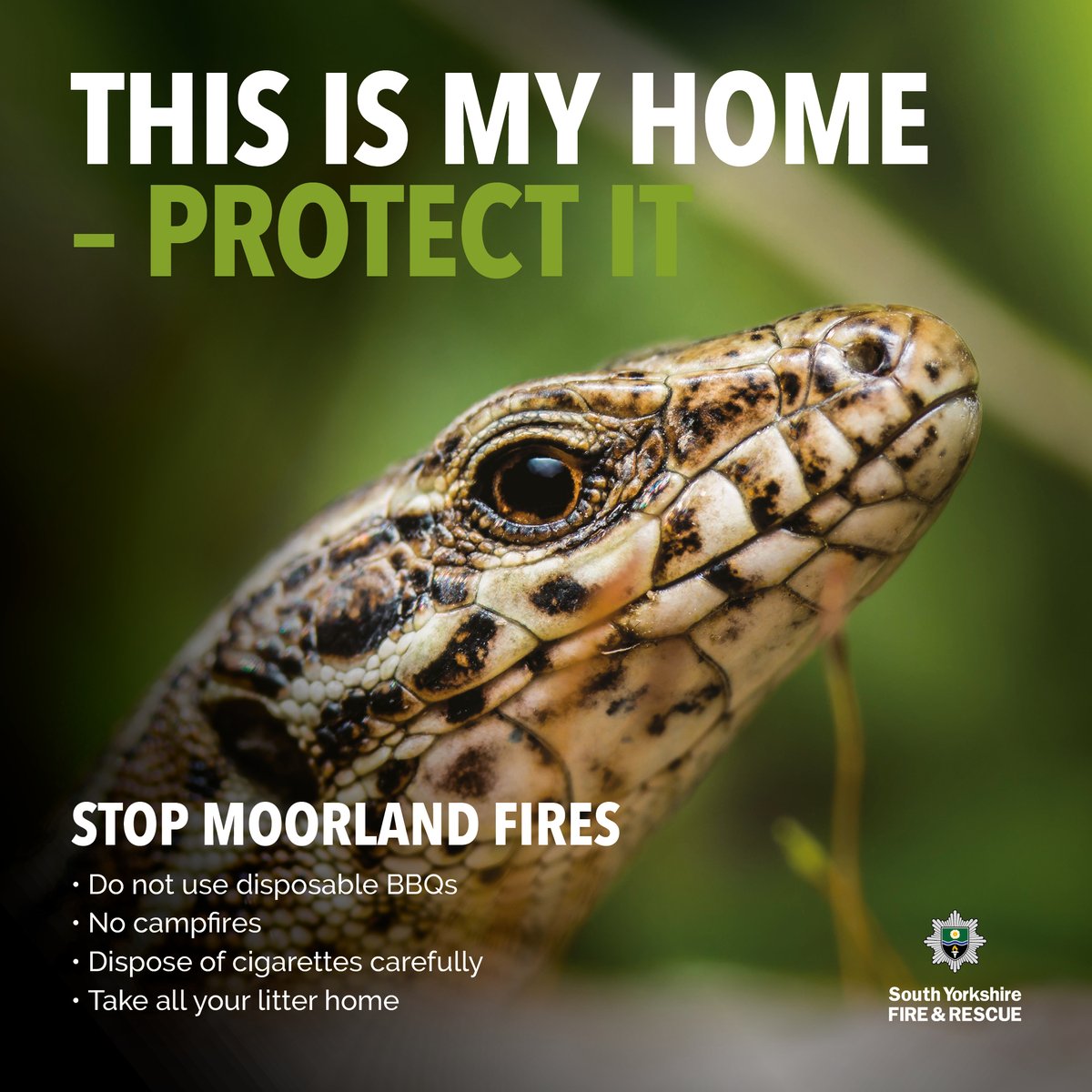 ⚠️ A high risk of moorland wildfires over the next few days, due to a combination of factors including higher winds and the recent heat. Please help protect reptiles, deer and other wildlife by preventing fire risk.
If you do see fire, call 999 and get to safety.