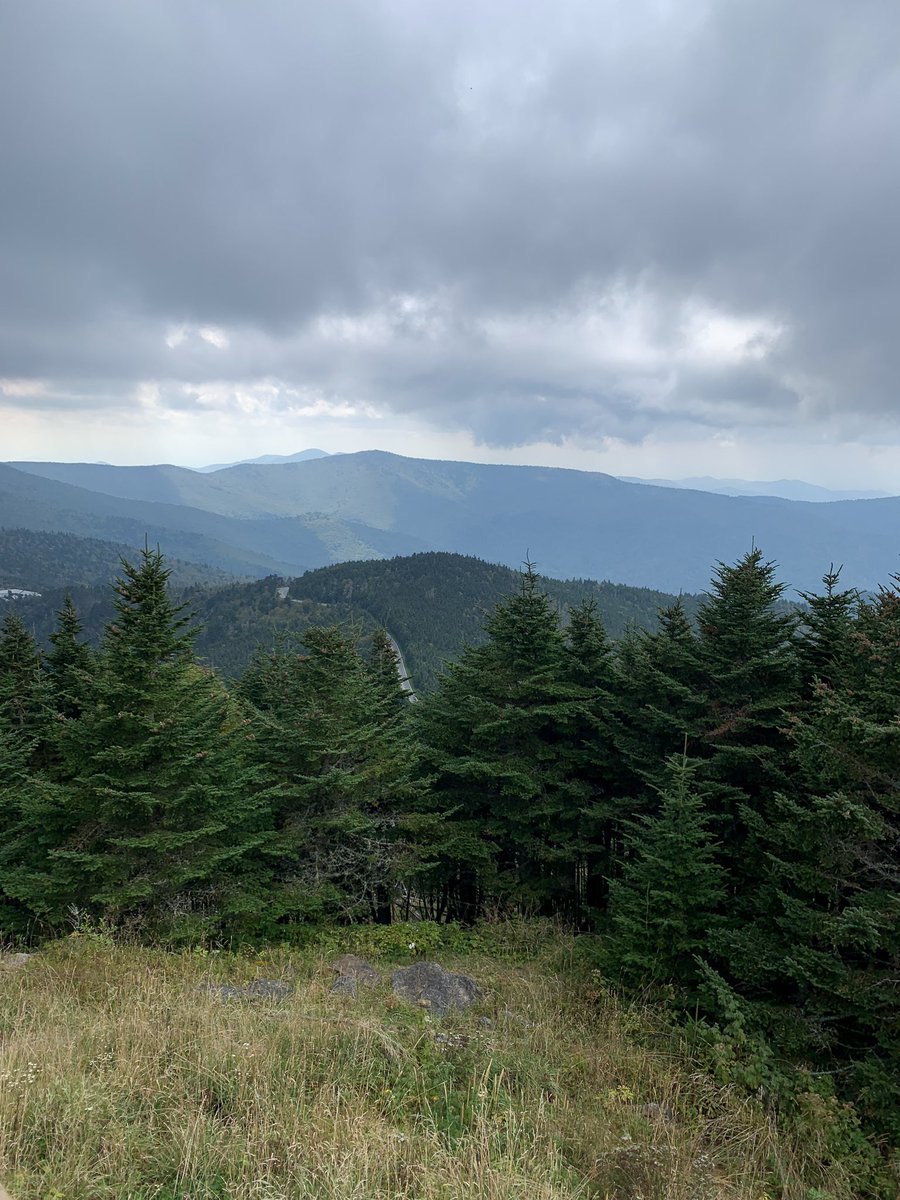 dogwoodblooms's tweet photo. History lesson time! 🎉

Elisha Mitchell announced the highest peak in the eastern US was found in the Black Mountain range of NC in 1835. Thomas Clingman disagreed in the 1850s.

To verify his initial findings, Mitchell returned to the Black Mountains. Sadly, he fell to his death while out on his mission to set the record straight. 🥺

The date? June 27, 1857.

Initially buried in Asheville, Mitchell was disinterred and his body was moved to the peak of the mountain he claimed was the tallest. 🪦

In 1881, the US Geological Survey proved Mitchell was correct all along. 💯

The mountain? Mount Mitchell. 😉