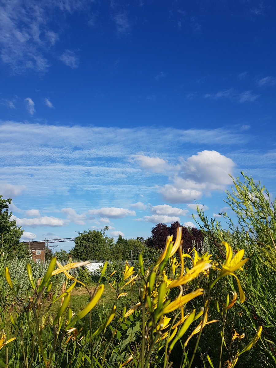 #Sunny evening @ #NorthwickPark #Harrow #London 
<a href="/BBCWthrWatchers/">BBC Weather Watchers</a> <a href="/bbcweather/">BBC Weather</a> 

bbc.co.uk/weatherwatcher…