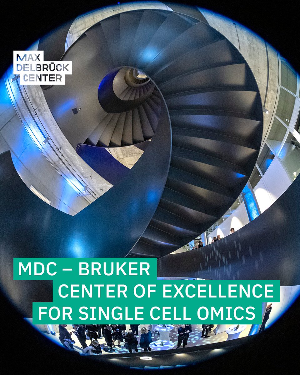 The #mdcBerlin and <a href="/bruker/">Bruker</a> are proud to announce the launch of the MDC – Bruker Center of Excellence for #SingleCellOmics! 🎉 Join us on July 8th at <a href="/BIMSB_MDC/">MDC-BIMSB</a> to learn more about the center's mission and goals.

Full program and registration 👉 mdc-berlin.de/MDC_Bruker_Cen…