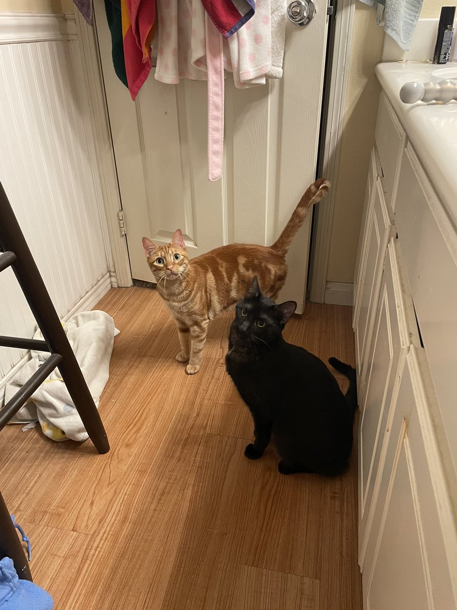 we figyored out howe to open the baf room dor so mombey dosent haf to go alowne :) :)