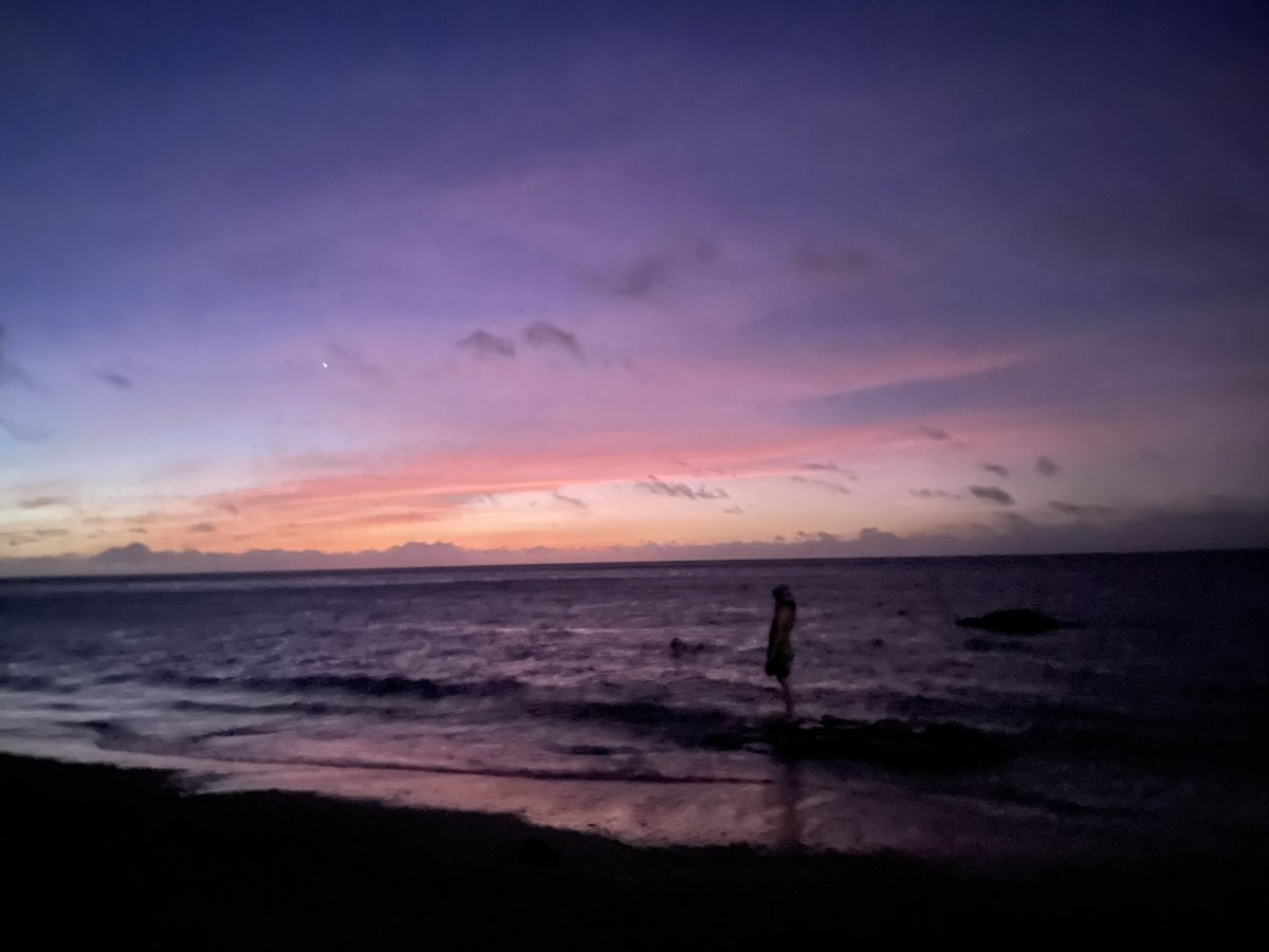 宝島、石垣島ほんと最高でした、今年も参加させていただきありがとうございました！天国すぎ！