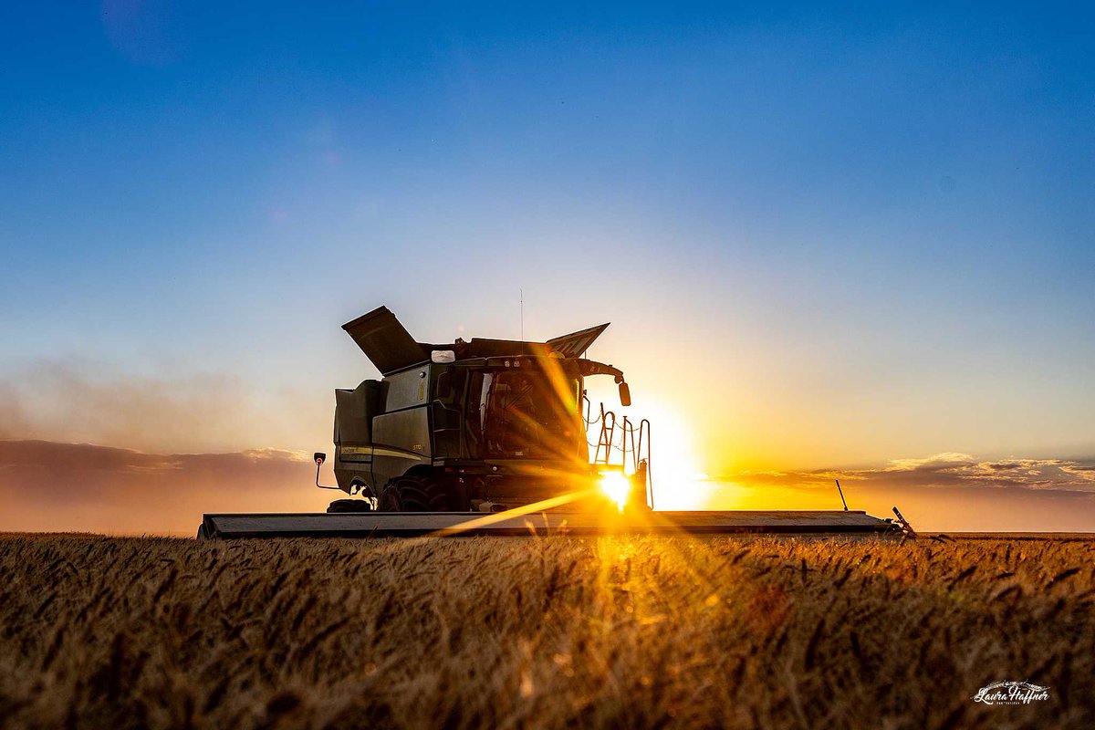 Laura Boroughs-Haffner tweet media