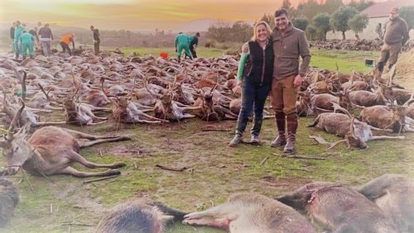 AntonioM646's tweet image. Salvajada total:

16 “cazadores” de España
mataron 540 venados y jabalíes
en una finca en Portugal

Pagaron hasta $ 8.000.00
para participar en la matanza

Los aterrorizados animales
no podían huir porque
estaban rodeados por un muro

Please dale ReTwit