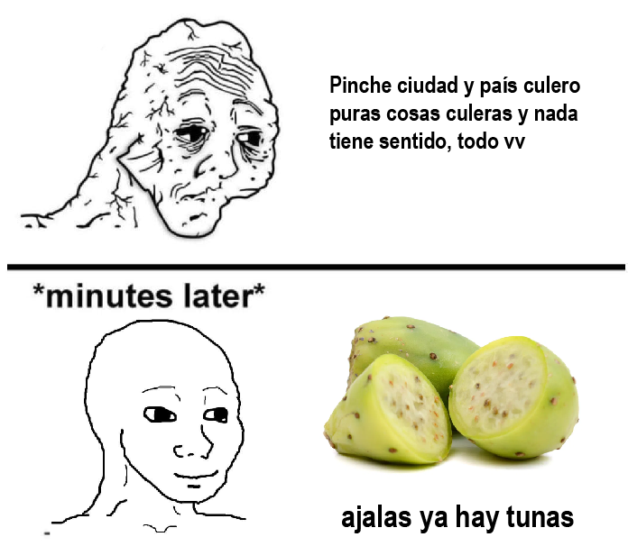 _baruc_'s tweet photo. mi meme más personal https://t.co/irq9m7OF7J