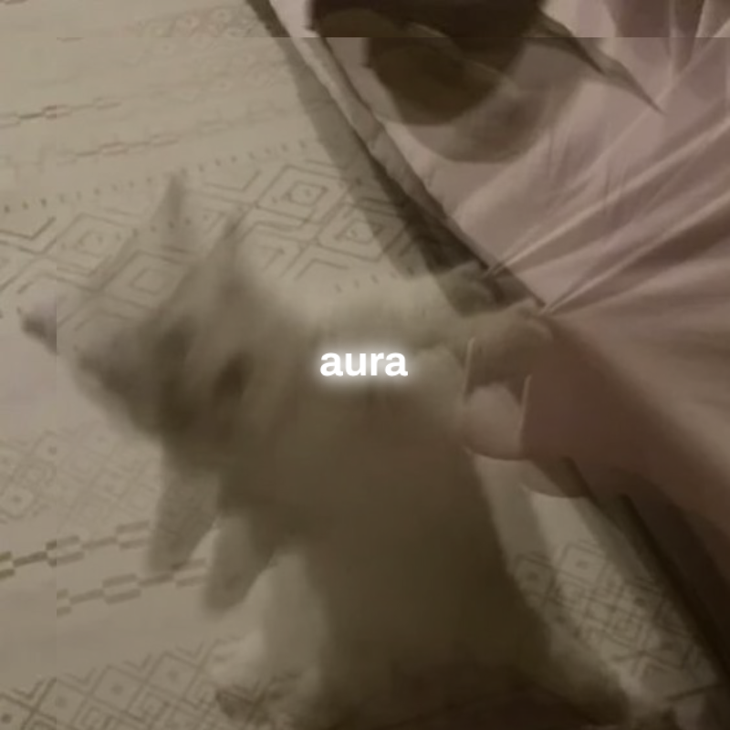 rugonsolami's tweet photo. $rug emitting insane amounts of aura rn. https://t.co/RuV6A6Bzhm