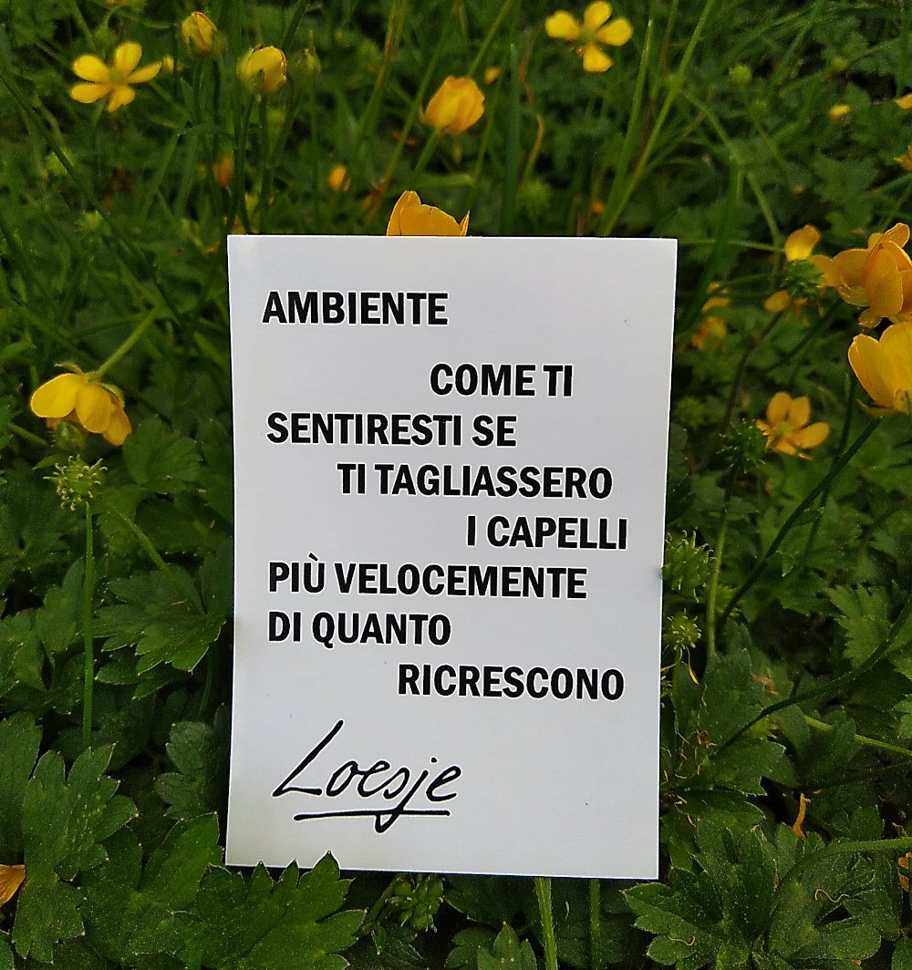 Environment 
  how would you feel if your hair 
            would get cut faster 
than it grows

#Loesje 
#environment #nature #resources #climate 
#climateAction  #motherNature #protectNature