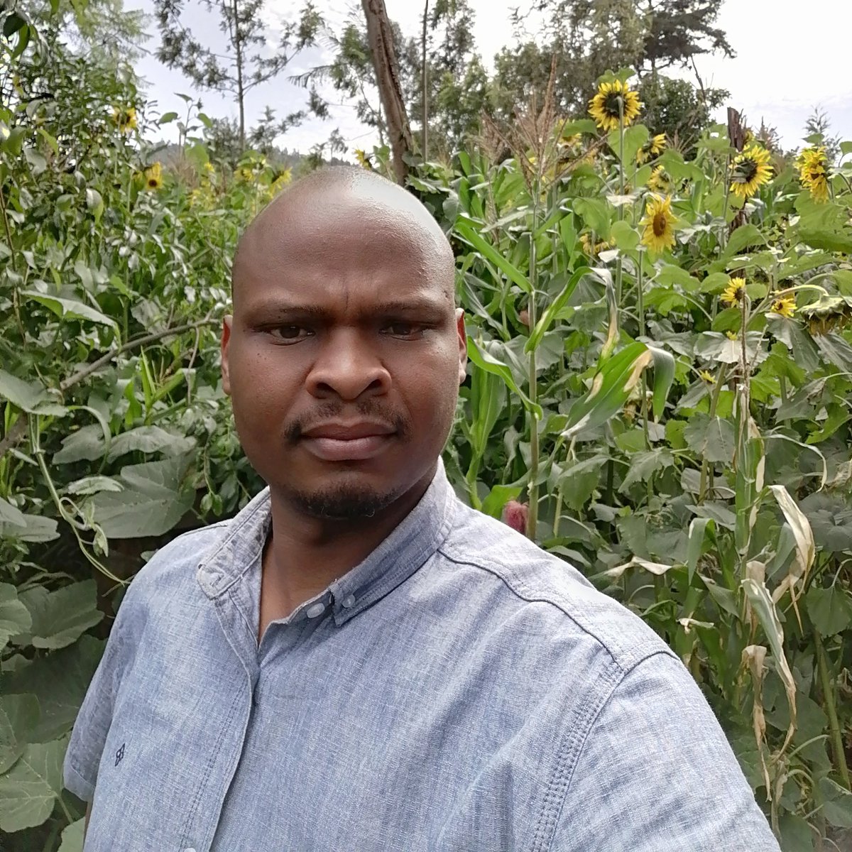 munene_james1's tweet photo. #NewProfilePic https://t.co/u9Ge1Z12bE