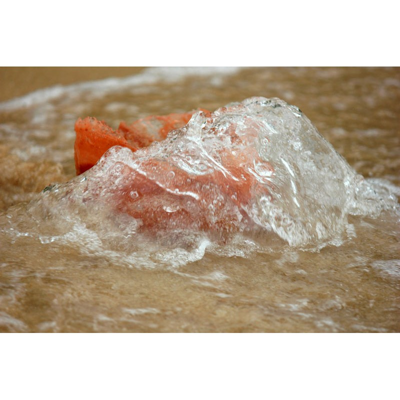 GreenBurials.com tweet media