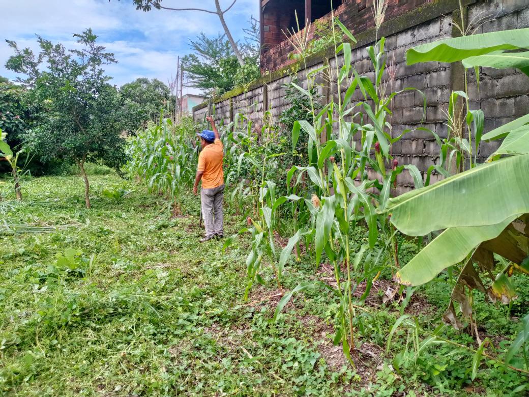 SunagroAma's tweet photo. 📸 El equipo de la Sunagro Amazonas acompañó al @MinagrourbanaV en la entrega de herramientas al Instituto Venezolano de los Seguros Sociales (IVSS), con la finalidad de consolidar la producción local para el beneficio de nuestros abuelos y abuelas.

#NicoCuadraConmigo https://t.co/Kr6Y3soVYk