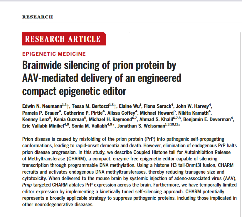 ZinselmeyerB's tweet photo. A CHARMed collaboration created a potent therapy candidate for fatal prion diseases:    
Brainwide silencing of #prion protein by #AAV-mediated delivery of an engineered compact epigenetic editor. $SGMO @SangamoTx 
https://t.co/Ht8tp5qTWc  
https://t.co/X0lXRTqIu2 https://t.co/dGP1syZvR3