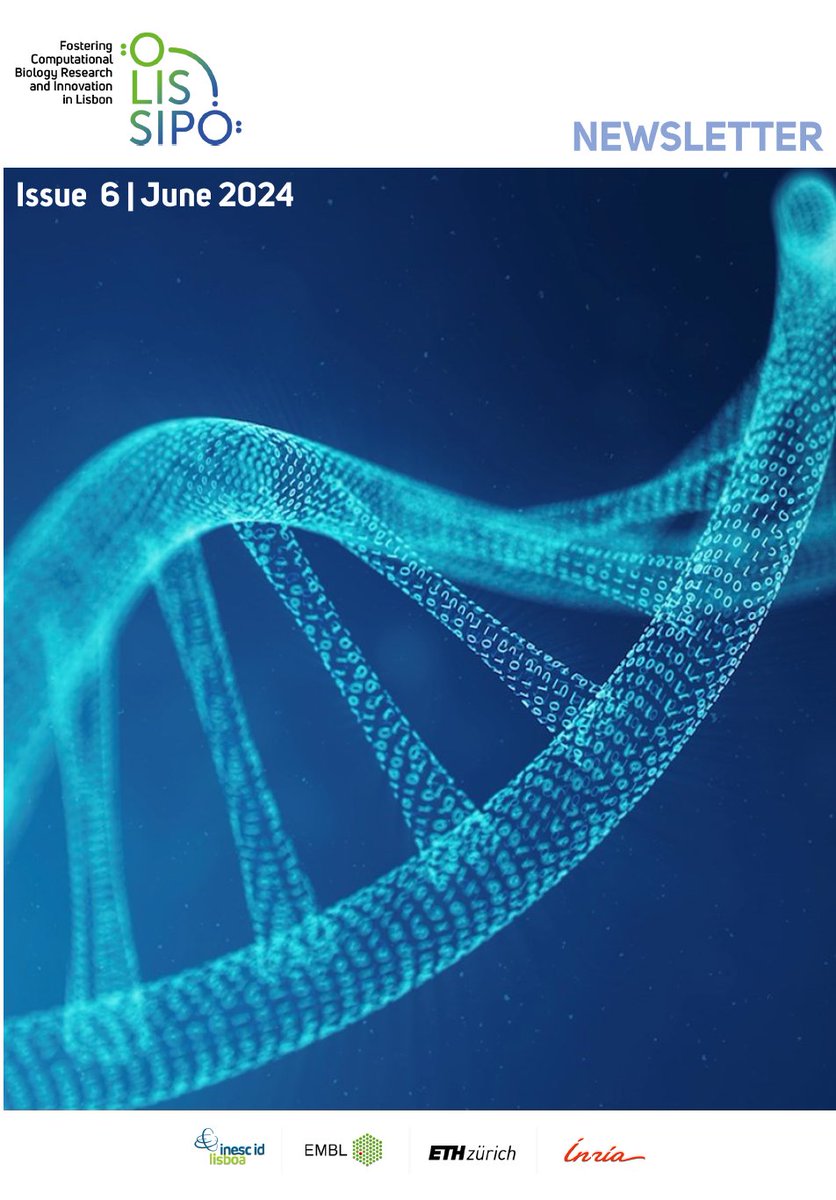 Bonus beregning eksempel på Olisimmo.dk