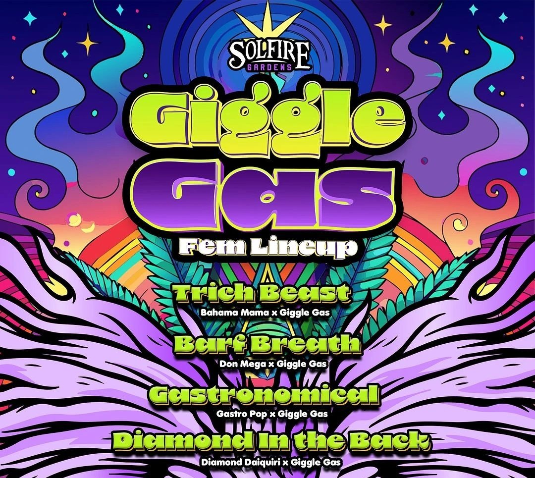 Solfire Gardens Giggle Gas Lineup is available now at seedslocker.com 🌱

#seedslocker #seedbank #photoperiod #solfiregardens #growyourown #gigglegas