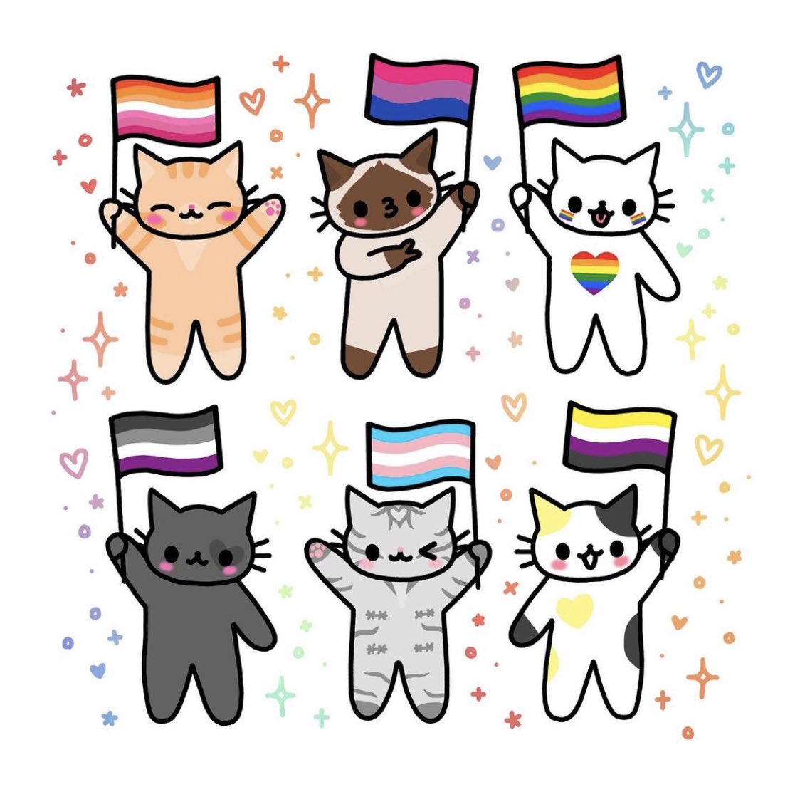 Gatito Sentimental tweet media