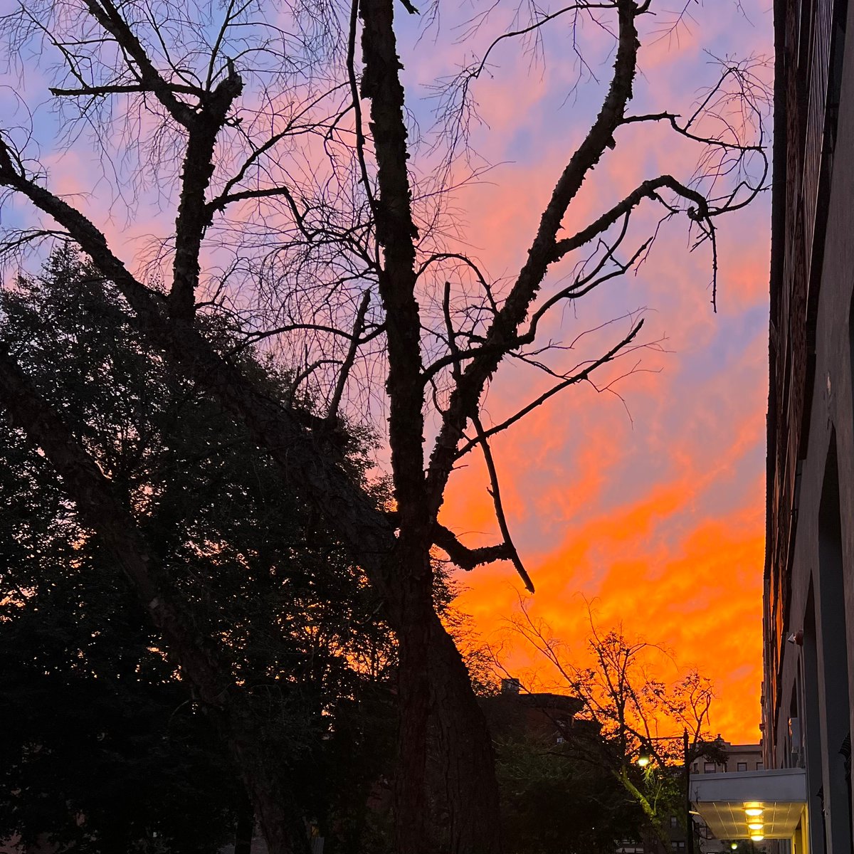 i posted a track haha

soundcloud.com/maxrcise/centr…