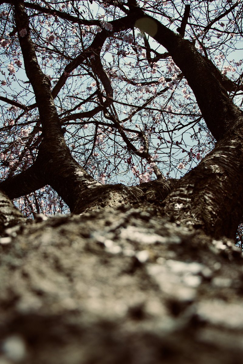 Janina (@janina_anja) on Twitter photo 