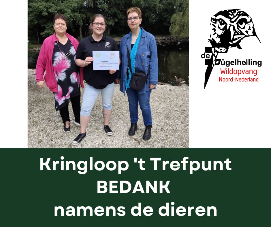 Afgelopen week kwamen drie #vrijwilligers ,werkzaam bij de #kringloopwinkel 't Trefpunt te #Marum, een geweldige donatie brengen.Een cheque met maarliefst €1000.Wat een prachtig bedrag, heel hartelijk bedankt namens de dieren!
Wilt u ons werk ook steunen?
defugelhelling.nl/steun-ons/