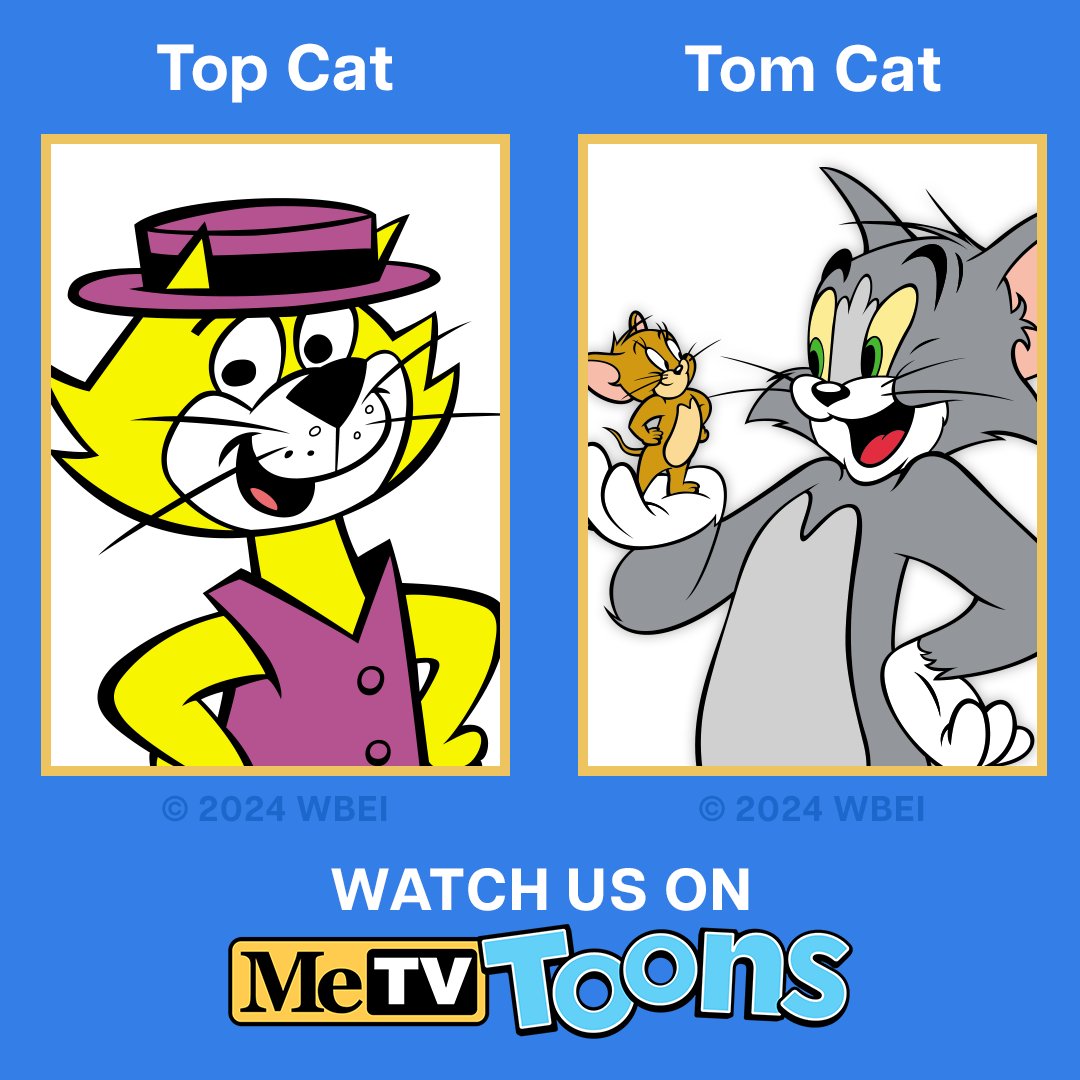 MeTV Toons tweet media