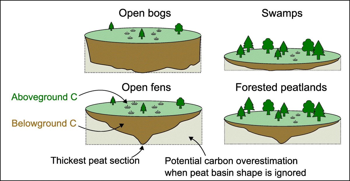 When people ask what is my favorite thing about Canada, I always answer wetlands, specially peatlands. I'm so happy to have co-authored a wetland research paper for the first time. sciencedirect.com/science/articl…