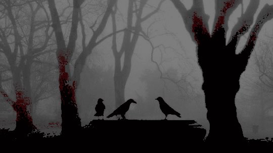 ⠀   

                       𝐈𝐈. 𝐂𝐎𝐍𝐍𝐄𝐂𝐓𝐈𝐎𝐍𝐒. 

⠀⠀      ⠀