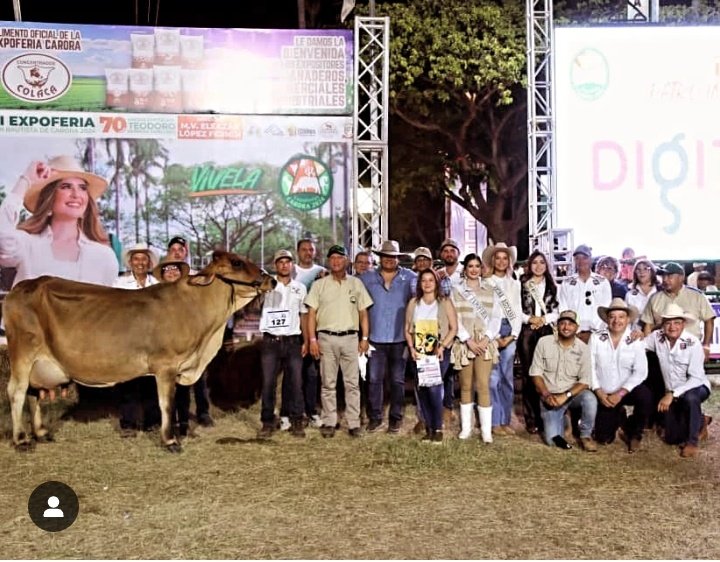#NotiAsocrica desde la familia #RazaCarora @asocrica <a href="/sorgocarora/">Sociedad de Ganadero</a> y @expoferiascaroraoficial Felicitamos y sentimos júbilo y orgullo, junto a Agrop. La Cumana C.A. quienes lograron con su Vaca GIRCA 1377 (F1 Carora-Cebu) la distincion de 
VACA SUPREMA...
instagram.com/p/C8uwAv4xvdX/…