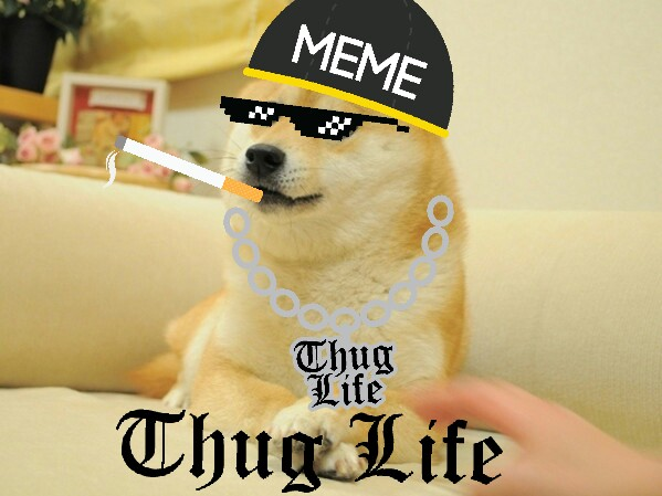 SucDeKul tweet media