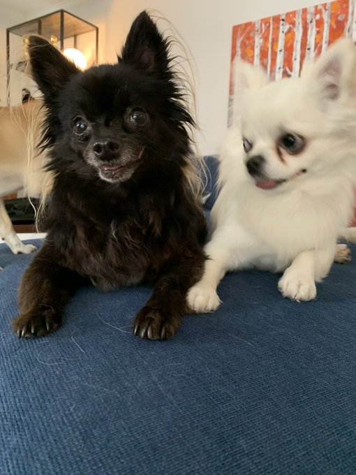 Watch Max Carter's leaked NSFW photo on TwXstars