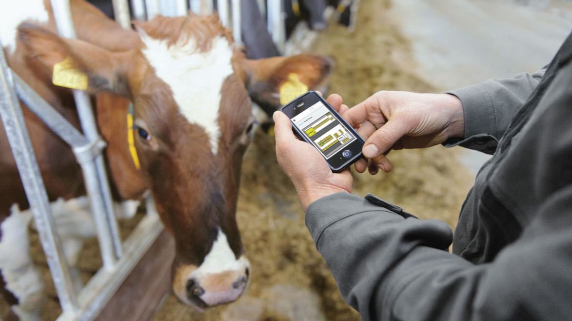 🏴DairyFlow🏴 (@dairyflow) on Twitter photo GEA CowScout. Constant heat monitoring and display of the optimal insemination time. Notification of reduced eating and rumination times to enable early detection of health problems. Accessible via PC, tablet or phone. Contact us for a quote 📞<a href="/GEA_farming/">GEA Farming</a> GEA CowScout. Constant heat monitoring and display of the optimal insemination time. Notification of reduced eating and rumination times to enable early detection of health problems. Accessible via PC, tablet or phone. Contact us for a quote 📞<a href="/GEA_farming/">GEA Farming</a>