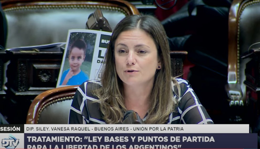 Siley insistió en la inconstitucionalidad de Ganancias y Bienes Personales: "Viene flojo de papeles este esquema de votación"