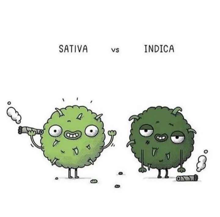 Amo as duas 😍😍