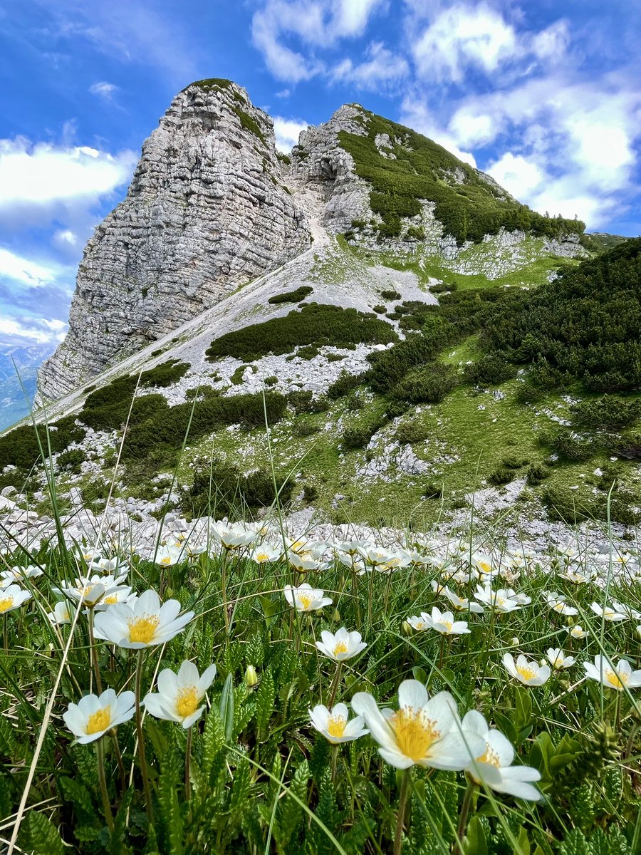 ExploringSlo's tweet photo. We started our journey yesterday morning in the beautiful Lepena Valley above Bovec and headed towards the Lake Krn, the biggest alpine lake of Slovenia. This morning we set off to yet another adventure - an ascent to Mt. Velika Baba, 2016m, the peak you can see in the picture 😍 https://t.co/LA7JnToDve