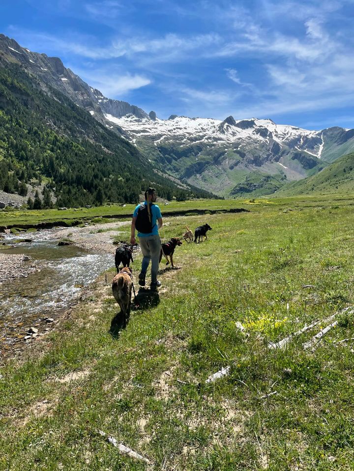Huesca_LaMagia's tweet photo. Valle de #Otal 💚 Un pequeño valle glaciar en forma de U que te lleva al impresionante circo de Otal, el nacimiento del río Otal. ¡Naturaleza pura en cada rincón! 🏞️

Muchas gracias a https://t.co/45sHBjP3sL por mandarnos tus fotos! 👏 https://t.co/O2Ju1TU9gF