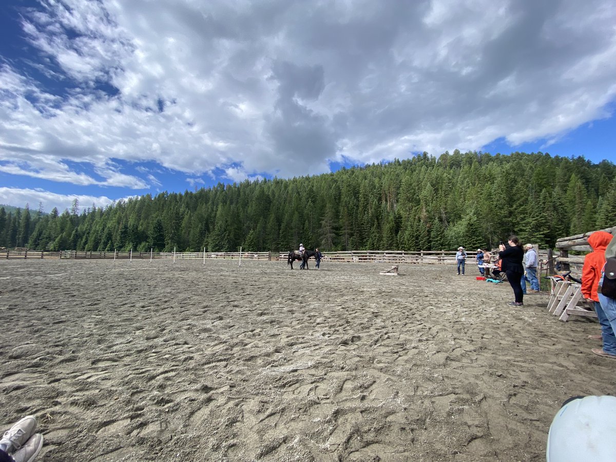Family Rodeo at Bar W today! Learn more about our Family Weeks🤠
 
 thebarw.com/packages/famil…

#barwguestranch #duderanch #montana #ranchlife