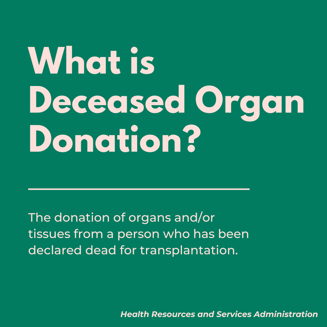 The EQUITY Research Lab tweet media