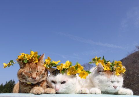 김우진 tweet media