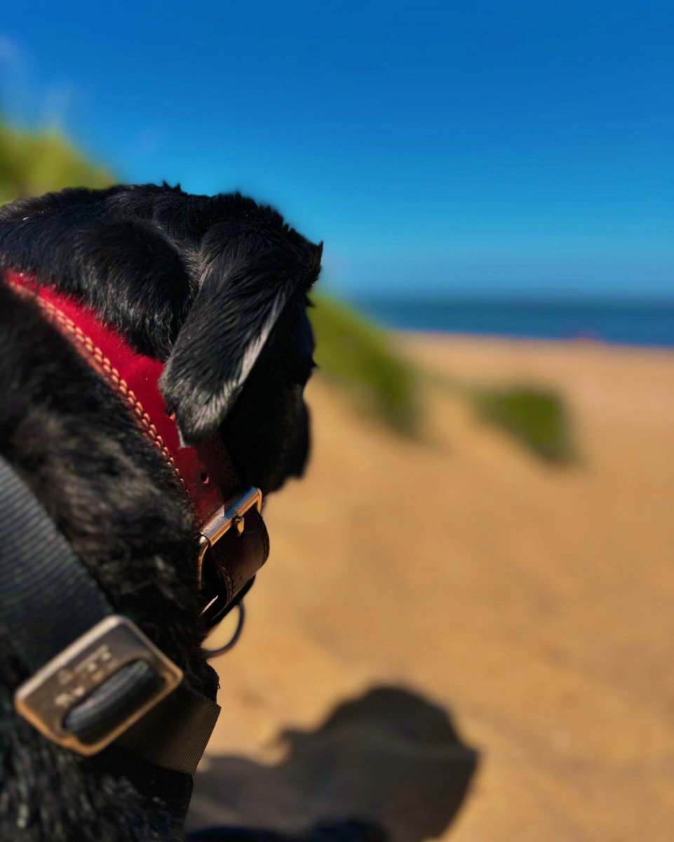 Jason Bourne tweet media