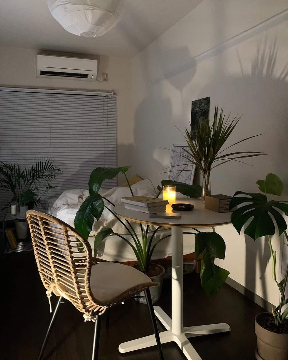 Broke Doomer🔺 tweet media