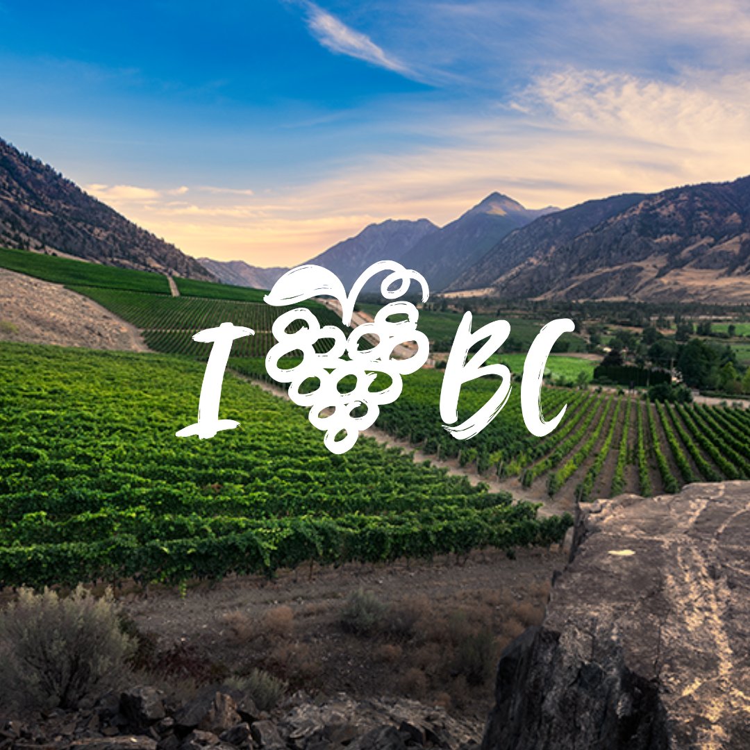 It's the first weekend of SUMMER - Are you planning a BC Wine Tour this summer?Which wineries are on your list?

#vanessavineyard #VVwines #BCwine #BCharvest #meritage #syrah #merlot #explorebcnow @WinesofBC #BCWine and #FallforBCWine
#bcwinery  #awardwinningwine
