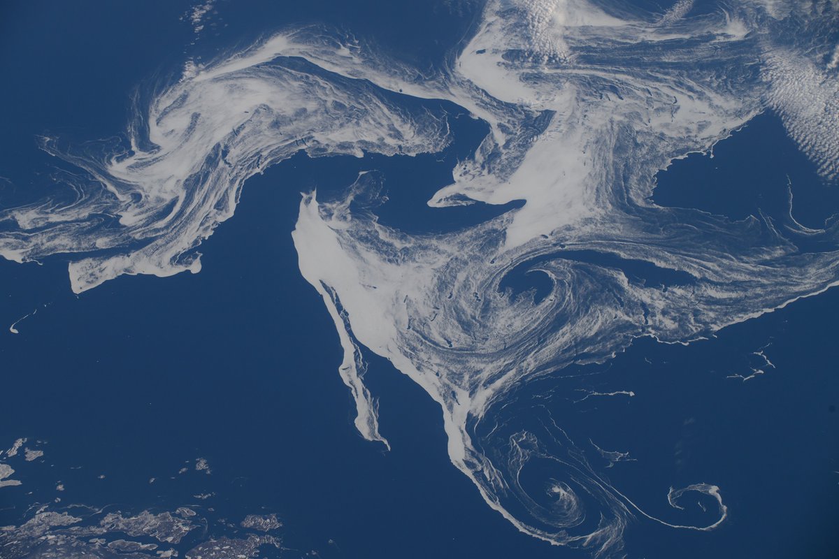 DaveAtCOGS's tweet photo. Very cool swirls of the coast of Newfoundland Island, taken 27 Apr 2024 by @NASA_Astronauts #MichaelBarratt. High-res is available via map-pin on https://t.co/2pQy8Htn0U near #MiddleArm, #NewfoundlandAndLabrabor and #NotreDameBay (location of ISS at photo time) https://t.co/zZIAqJLp7i