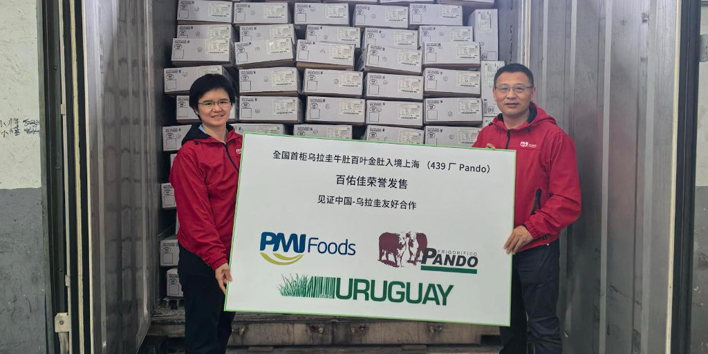Se confirmó la llegada del primer embarque de mondongos uruguayos en China, marcando un hito en materia de acceso a mercados para los subproductos cárnicos de UY. La confirmación es de la empresa importadora Parker-Migliorini Food Trading (PMI) en  WeChat. inac.uy/innovaportal/v…