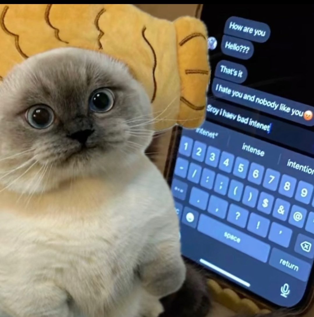 Catsillyness's tweet photo. bad internet https://t.co/BimYqSUE7z