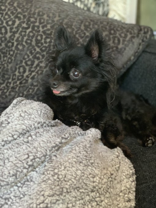 Watch Max Carter's leaked NSFW photo on TwXstars