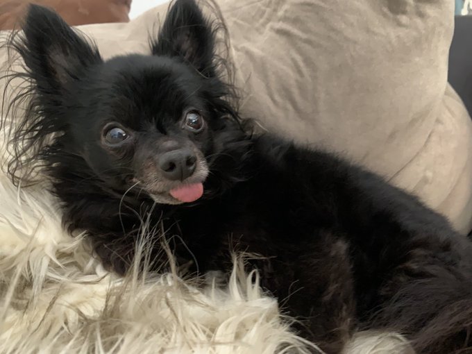 Watch Max Carter's leaked NSFW photo on TwXstars