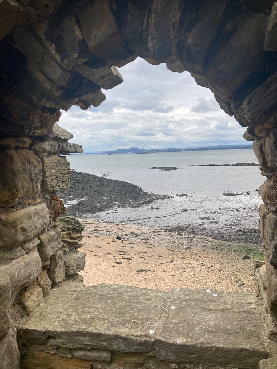 Dr Antonella Liuzzo Scorpo tweet media