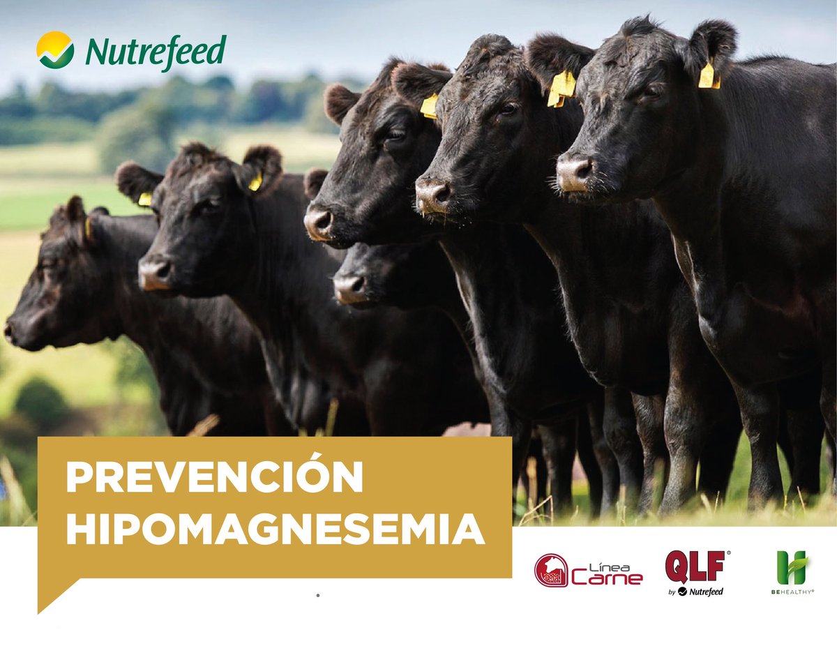 Nutrefeed S.A. tweet media