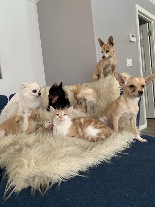 Watch Max Carter's leaked NSFW photo on TwXstars