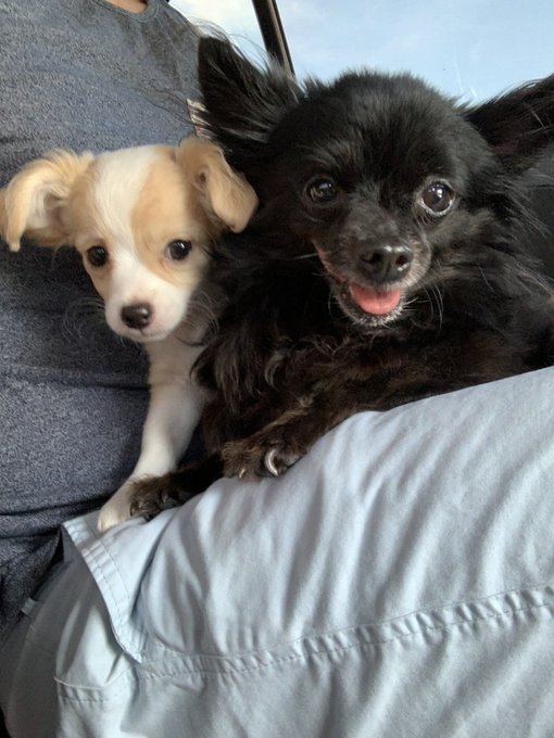 Watch Max Carter's leaked NSFW photo on TwXstars