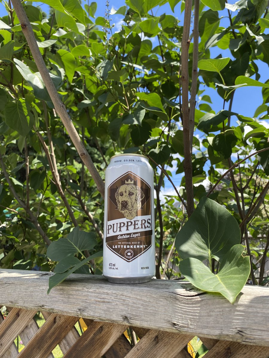 Can confirm: Puppers is available at select @lcbo, @thebeerstoreon, <a href="/sobeys/">Sobeys</a>, @metroontario and Foodland locations. Perfect for the long weekend. 
#canadaday #longweekend