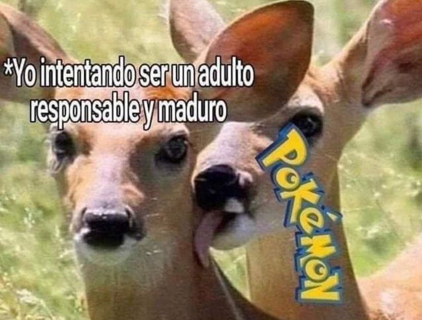 Charilord tweet media