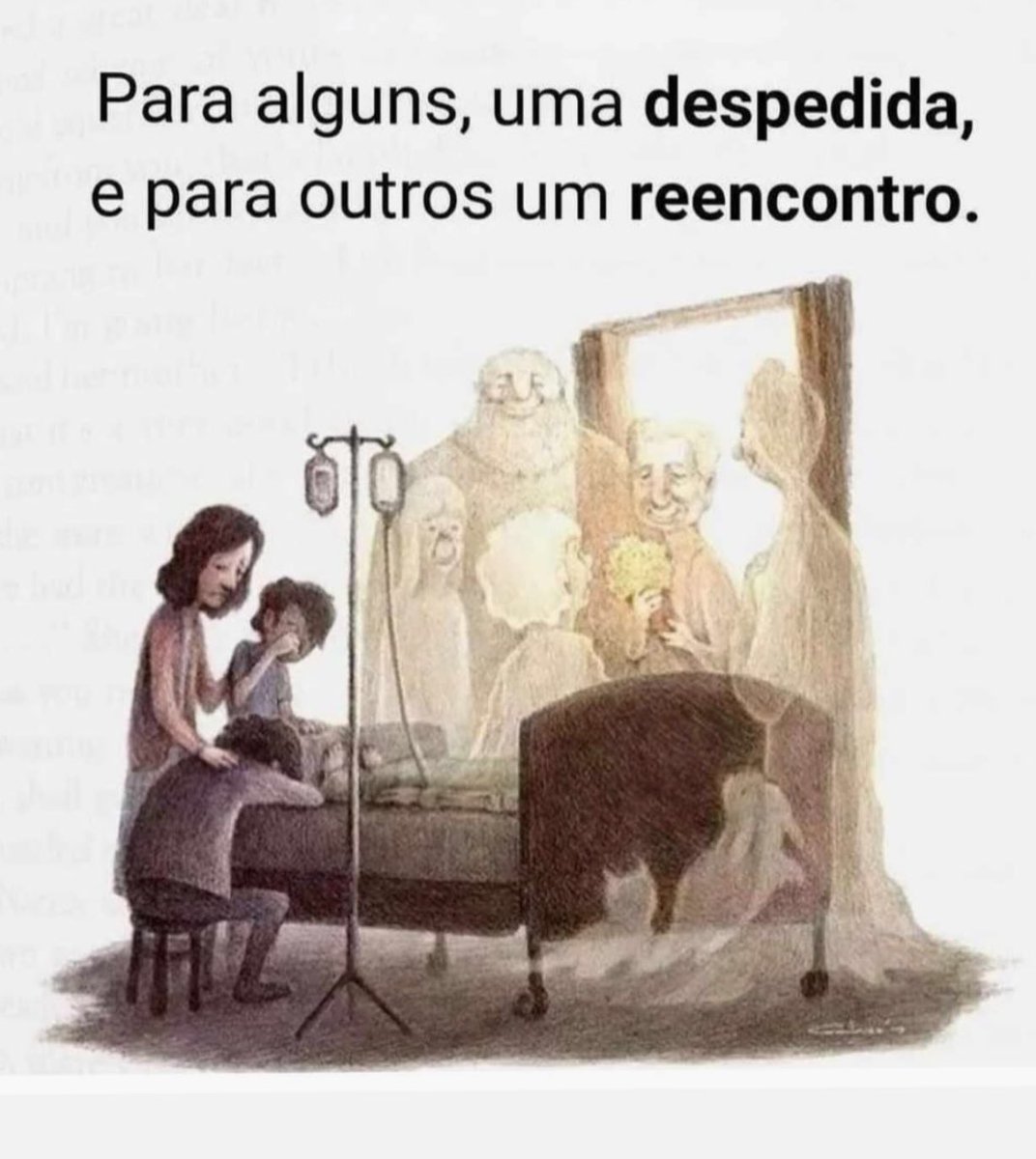 Fernanda_CidL's tweet photo. A vida é feita de ciclos. A morte não existe. https://t.co/wq58LdhED8